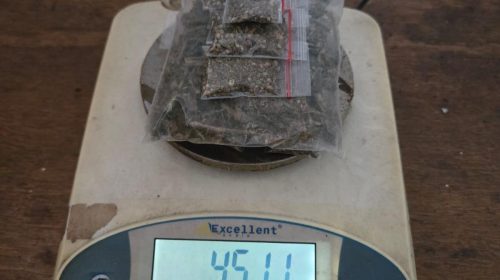 Polres Halteng Tangkap Pengedar Ganja 45,11 gram