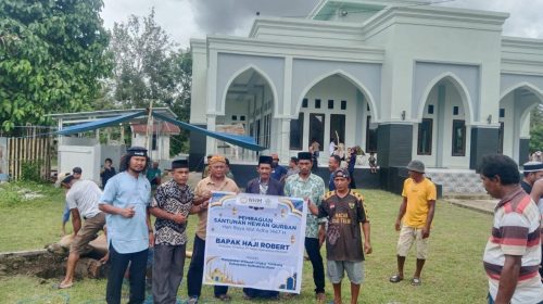 PT NHM Salurkan 66 Ekor Sapi Kurban untuk Masyarakat Lingkar Tambang