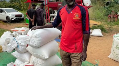 Cetak Sawah Rakyat Perkuat Kesejahteraan Petani dan Produksi Pangan, Petani Papua: Pemerintah Bantu Kami Kelola Lahan Sendiri