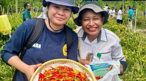 Dari Lahan Kering ke Harapan Baru: Cerita Perubahan Kelompok Tani Waibron
