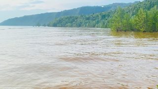 PT Feni Diduga Cemari Teluk Buli, Kementerian dan Pemda Diminta Tindak Tegas