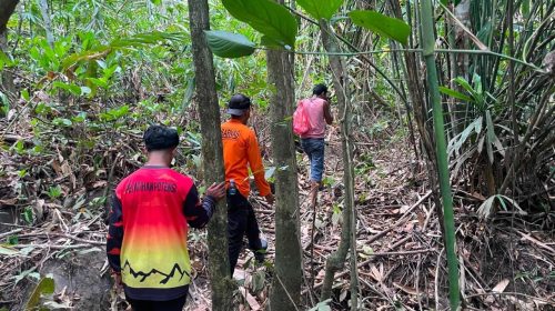 Warga Desa Sukamaju Halut Hilang di Hutan, Tim Rescue Lakukan Pencarian