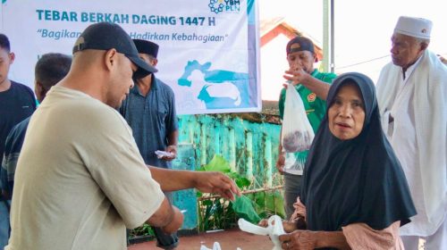 Tebar Berkah Idul Adha 1447 Hijriah, PLN UIP MPA Salurkan 12 Hewan Kurban untuk Masyarakat