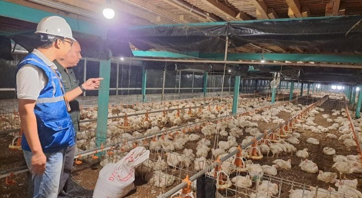 Tarif Listrik April-Juni 2024 Tetap, Pemerintah Perhatikan Daya Beli Masyarakat dan Dukung PLN Jaga Mutu Pelayanan