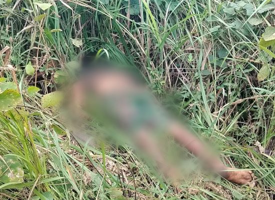 Petani di Morotai Tewas Dibunuh Istri Juga Diperkosa, Ini Identitas Terduga Pelaku