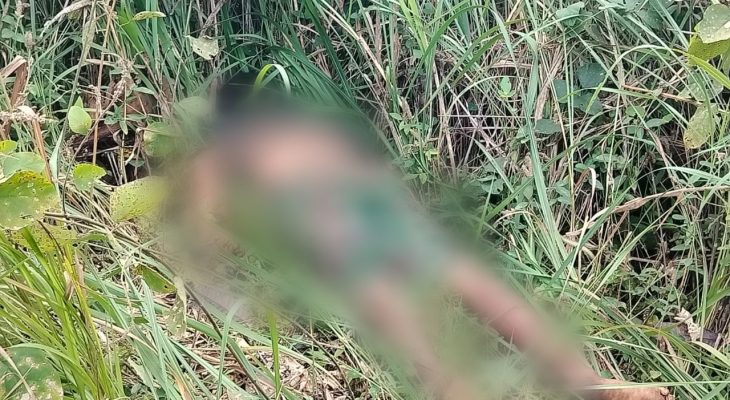 Petani di Morotai Tewas Dibunuh Istri Juga Diperkosa, Ini Identitas Terduga Pelaku