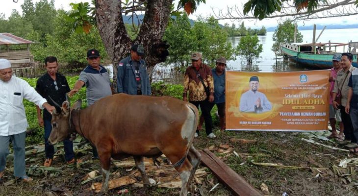 Dapat Sapi Kurban, Warga Pelita Apresiasi Pemda Halmahera Selatan