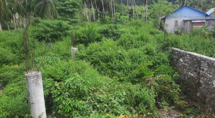 Proyek Masjid Desa Fatkauyon di Kepulauan Sula Tak Kunjung Tuntas, APH Diminta Telusuri