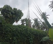 WhatsApp Image 2024 07 03 at 15.45.36