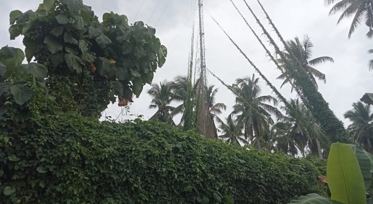 2 Tahun Terpasang, Warga di Desa Ini Justru Ancam Bongkar Tower BTS Milik Kominfo