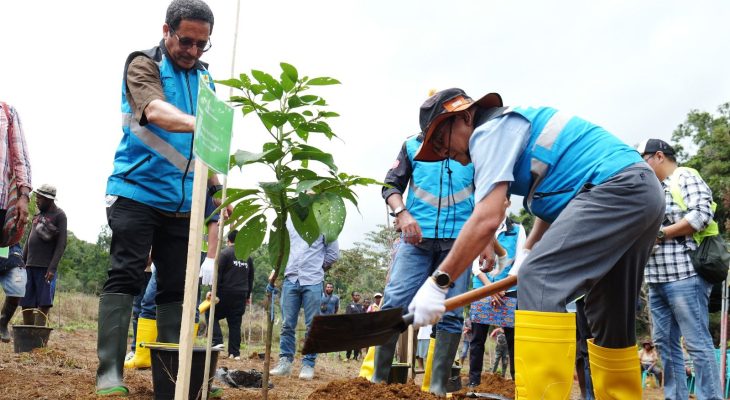 PLN Gandeng Instansi hingga Masyarakat Lakukan Rehabilitasi Hutan di Papua