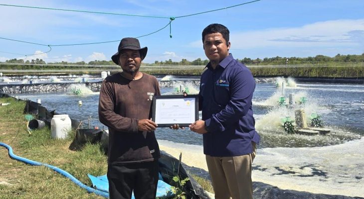 Layanan Listrik Hijau PLN Bantu Petani Tambak Udang di Sulsel Hemat Biaya Operasional dan Tembus Pasar Ekspor