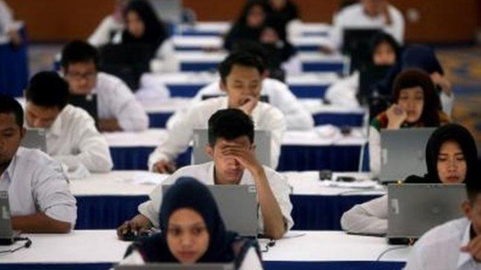 Sebanyak 712 Peserta CPNS di Kepulauan Sula Lolos Seleksi Administrasi