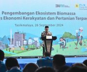 WhatsApp Image 2024 10 01 at 09.55.54