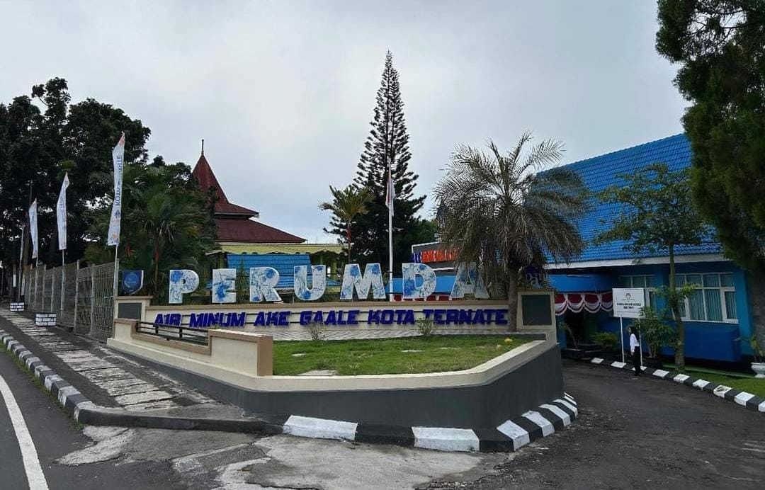 WhatsApp Image 2024 10 10 at 16.28.21