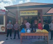 WhatsApp Image 2024 10 28 at 10.50.34