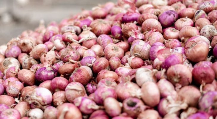 Begini Respons Anggota DPRD Kota Ternate atas Kasus Dugaan Penipuan Jual Beli Bawang