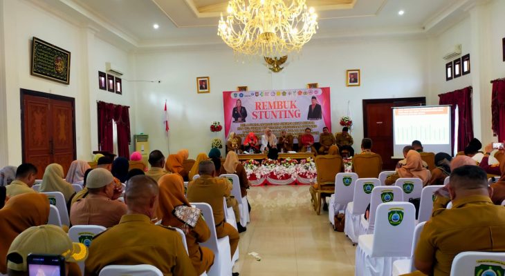 Pemda Kepulauan Sula Target Angka Stunting 2024 Turun 14 Persen