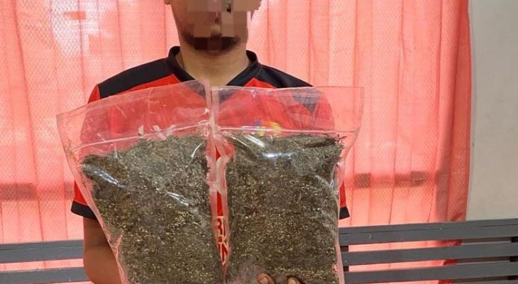 Polisi Tangkap Seorang Karyawan Tambang di Weda Usai Jemput Paket Berisi Ganja 