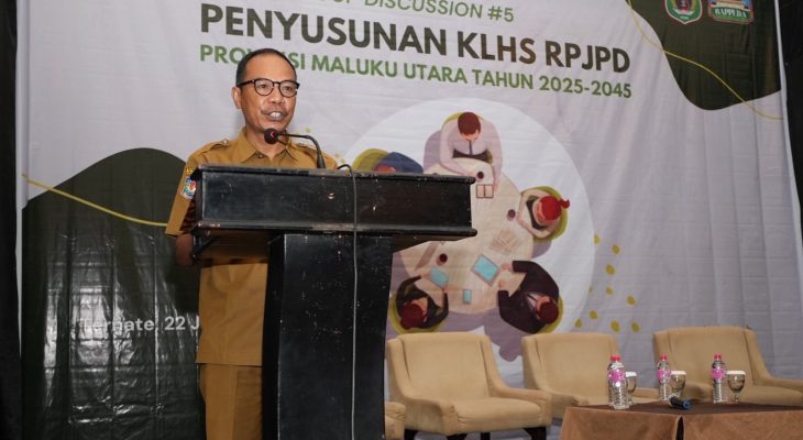 19 Rekomendasi Dihasilkan pada Konsultasi Publik II Penyusunan KLHS