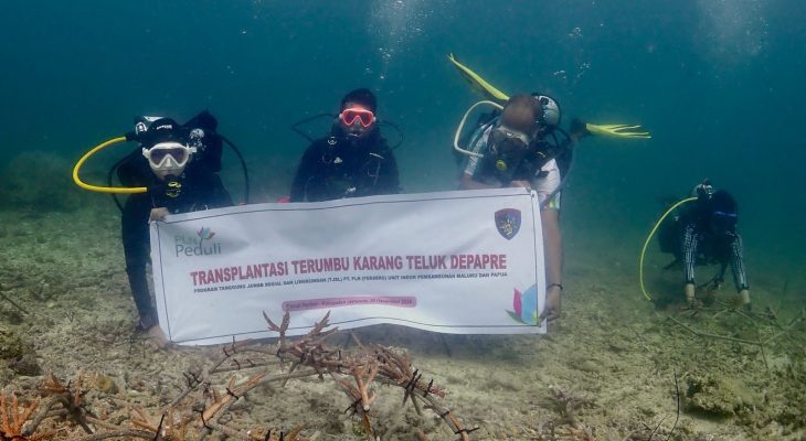 PLN UIP MPA Dukung Pelestarian Lingkungan Laut melalui Transplantasi Terumbu Karang di Teluk Depapre