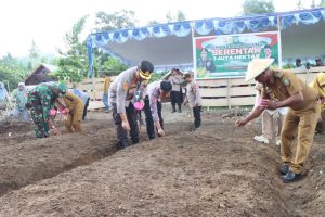 Dukung Program Pangan Nasional, Polres Kepulauan Sula Tanam Ribuan Jagung