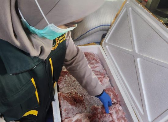 Tidak Dilengkapi Dokumen, Ratusan Kg Daging Babi Disita Balai Karantina Maluku Utara 
