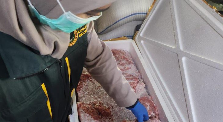 Tidak Dilengkapi Dokumen, Ratusan Kg Daging Babi Disita Balai Karantina Maluku Utara 