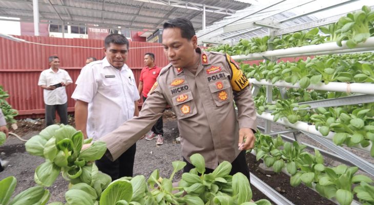 Polres Ternate dan Dinas Pertanian Panen Perdana Tanaman Hidroponik