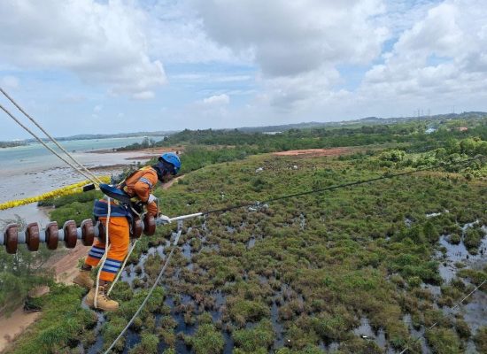 Keandalan Listrik Meningkat, PLN Catat Penurunan Durasi dan Frekuensi Gangguan di 2024