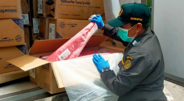 40 Ton Ikan Tuna Loin Beku dari Maluku Utara Diekspor ke Thailand 