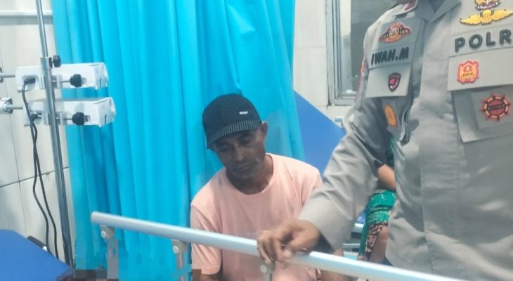 Babi Hutan Serang Warga di Kelurahan Rua Ternate, Korban Dilarikan ke Rumah Sakit 