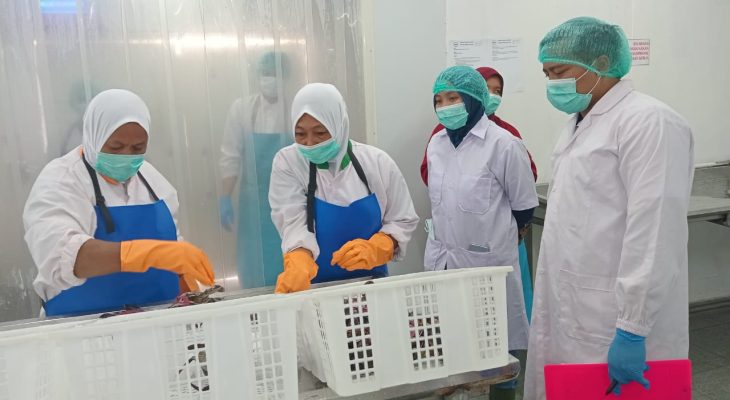 Badan Mutu KKP Maluku Utara Pastikan Penerapan SKP dan HACCP Permudah Ekspor Perikanan