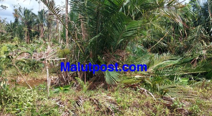 Menghindari Masalah, Ahli Waris Eks Lahan Bandara Bobong Ingatkan Pembali