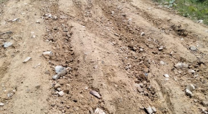 Menghindari Kecelakaan, Ketua Pemuda Desak Pemda Taliabu Segera Aspal Jalan Menuju Kawalo