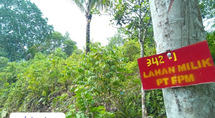 Jual Beli Lahan dan Nasib Masyarakat di Area Tambang Halmahera Tengah
