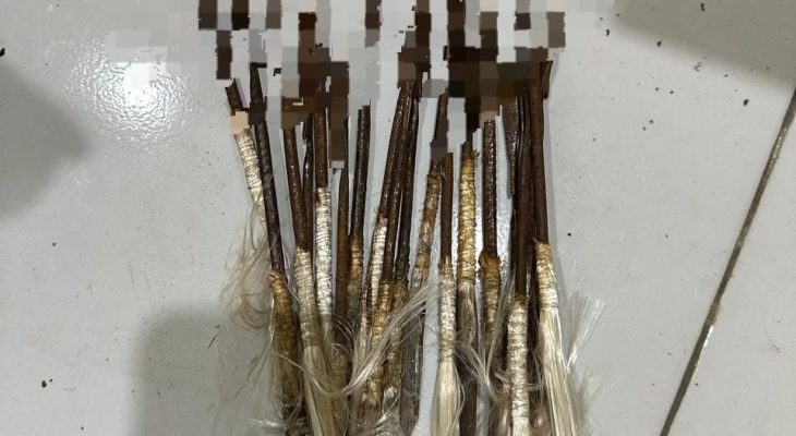 Ini Barang Bukti yang Jadi Penyebab 11 Pendemo PT Position Ditetapkan Tersangka