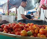 aef649ef 86d4 4d09 8533 8c2edb93fa74