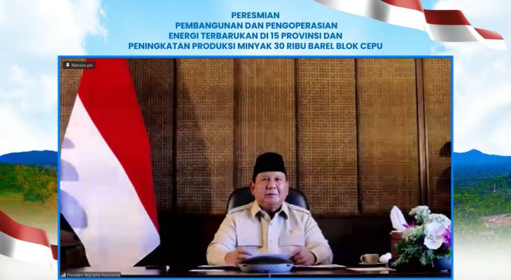 47 PLTS Diresmikan Presiden, 5.383 Rumah Tangga di Wilayah 3T Kini Nikmati Listrik Bersih