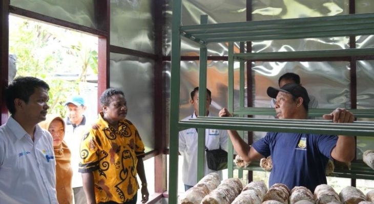 Dorong Kemandirian Ekonomi, PLN UIP MPA Hadir untuk Rakyat Lewat Program TJSL