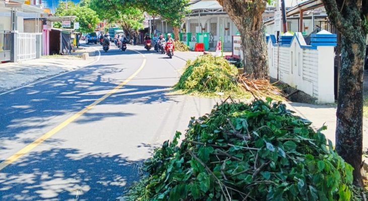 PLN di Ternate Diduga Pangkas Ranting Pohon dan Biarkan jadi Sampah di Jalan
