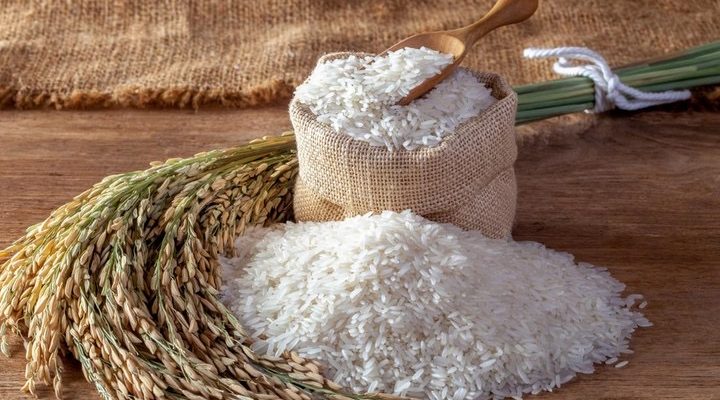 Selidiki Beras Oplosan, Satgas Pangan Maluku Utara Lakukan Pengujian di Labfor Sulawesi Utara