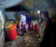 5d34719f cb7a 482b 8b35 8a78485df206