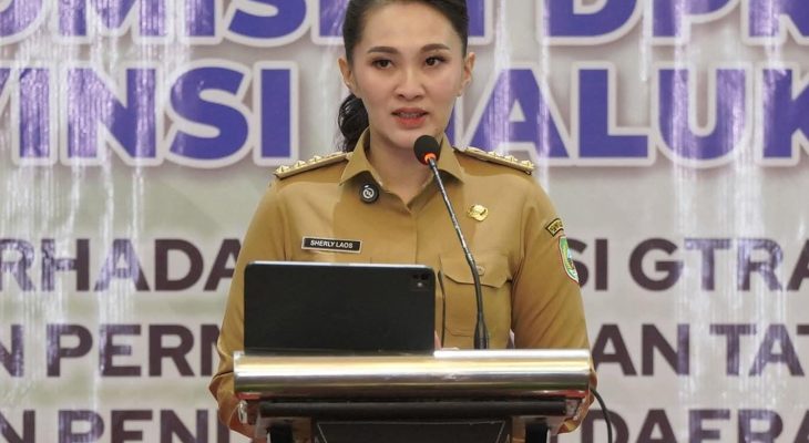 Komputer Kerja di Pemprov Maluku Utara Masih Kurang, Tupoksi dan Dekomposisi juga Belum Tertata 