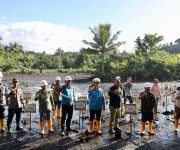 Peringatan Hari Mangrove Sedunia, PLN UIP MPA Lakukan Penanaman Mangrove dan Konservarsi Burung Mamoa di Halmahera Utara