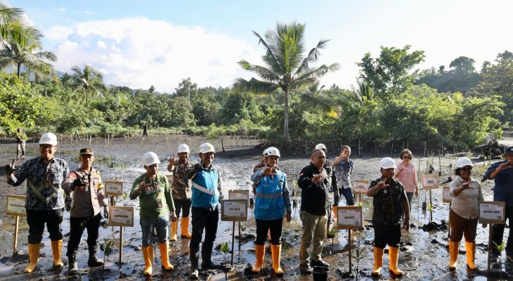 Peringatan Hari Mangrove Sedunia, PLN UIP MPA Lakukan Penanaman Mangrove dan Konservarsi Burung Mamoa di Halmahera Utara