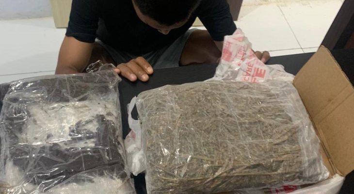 Jemput Ganja 562,1 Gram, Mahasiswa di Ternate Ditangkap Polisi