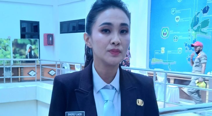 Ini Sejumlah Jalan Penghubung antar Kabupaten yang jadi Fokus Pemprov Maluku Utara 