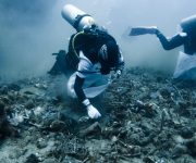 IMG 20250925 WA00121