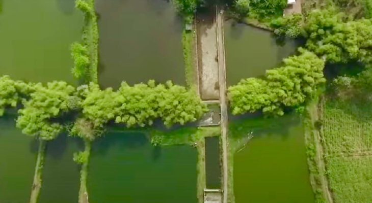 Mengenal Desa Rejoagung, Potensi Desa Meningkat Setelah Program Penataan Akses Reforma Agraria